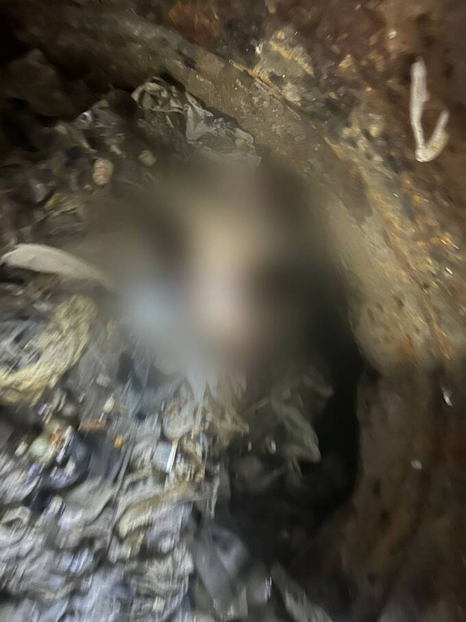 kkiqqqidrrirkatf qzeireikhieqkrt