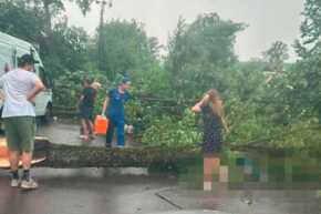 Во время шторма в Петербурге погибли два человека